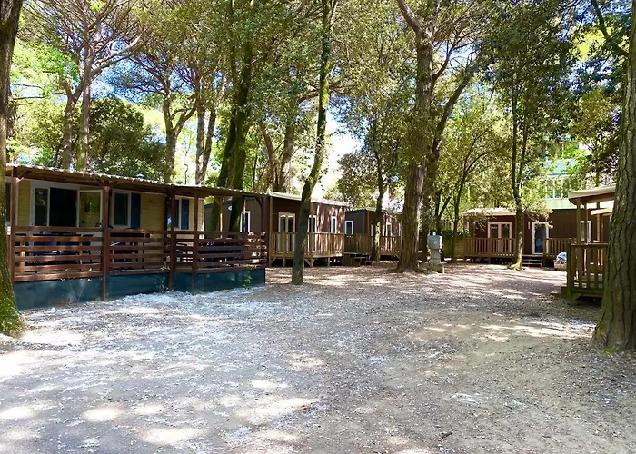 Dena Chalets - At The شاليه