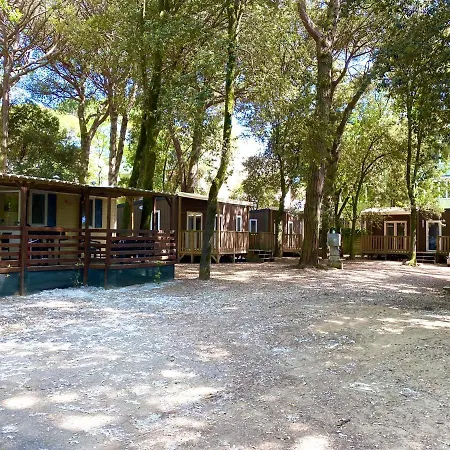 Dena Chalets - At The شاليه